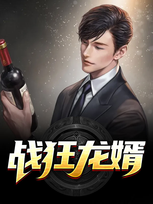 狂龙战婿全集