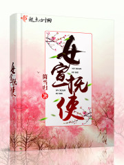 宋朝宣抚使