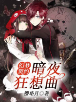 暗夜契约大概多少钱