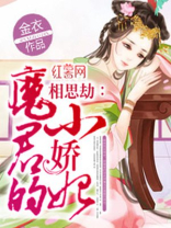 魔君的小娇妃小说