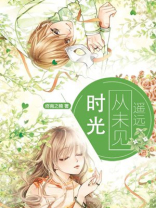 遥远时光小说