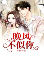 晚风不似你深情 小说