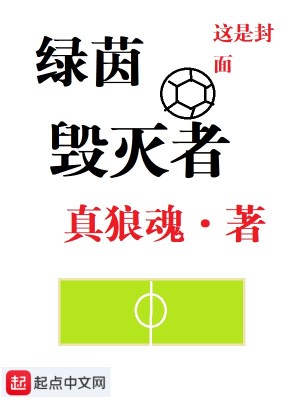 绿茵毁灭者 小说