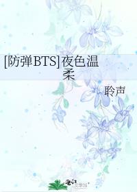 夜色温柔英文原著