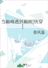 当巅峰遇到巅疯[快穿]TXT下载