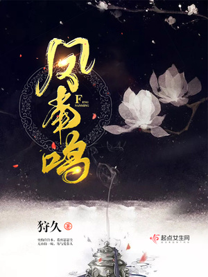 凤南鸣小说