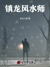 撼龙风水师