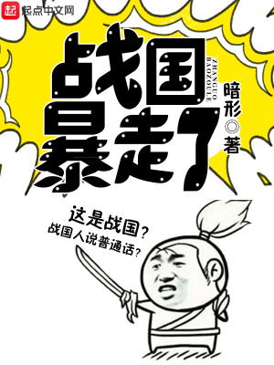 战国暴走了 暗形