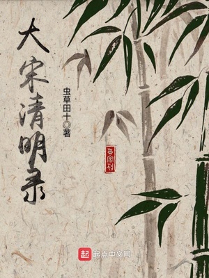 大宋风雅录