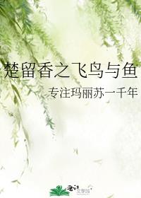 楚留香之鹦鹉