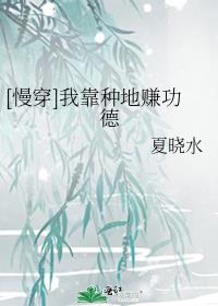 [慢穿]我靠种地赚功德 小说