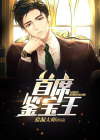 赌石鉴宝王