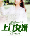最后一个上门女婿全文免费