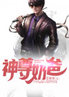 都市神尊奶爸