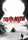 风水相婿后续小说