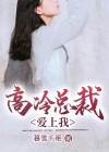 高冷总裁爱上我 小说