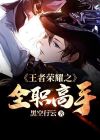 王者荣耀之全职玩家