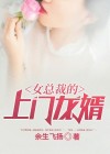 女总裁的上门龙婿龙岛出了什么事