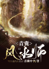 青囊风水师 小说