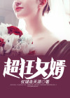 最狂女婿 灯泡