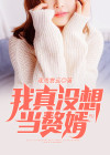 我真没想入赘无弹窗