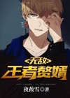 无敌王婿全本小说