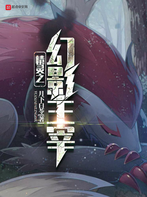 惠普幻影精灵
