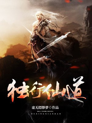 仙路独行小说