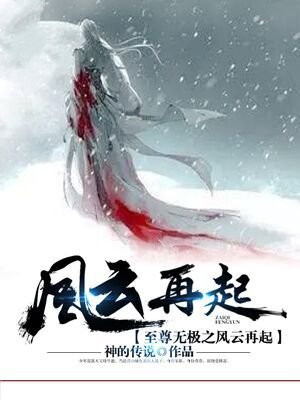 至尊无极之风云再起免费阅读