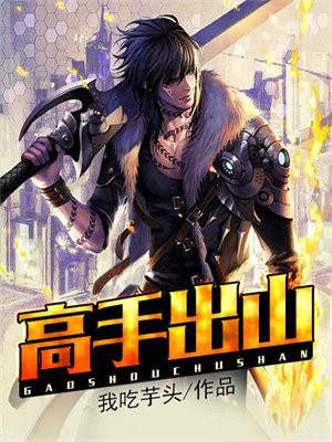 高手出山都市小说