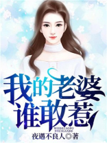 我的老婆谁敢惹我小说