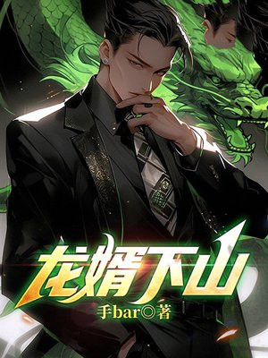 龙婿下山
