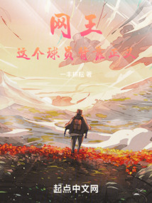 网王:这个球员背靠正义小说