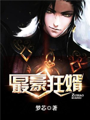 我最壕狂婿