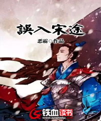 误入宋途 小说