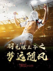 羽毛球王子之梦远随风 小说