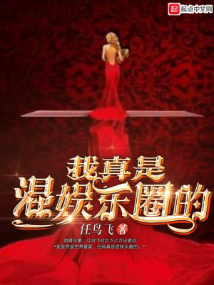 我真是混娱乐圈的 小说