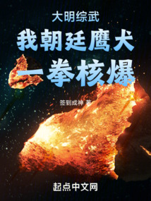 大明综武:我朝廷鹰犬,一拳核爆txt