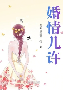 婚情几许:前夫请自重免费阅读