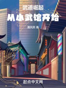 武道崛起从小武馆开始小说免费阅读
