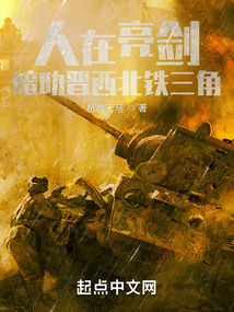 人在亮剑,暗助晋西北铁三角免费阅读