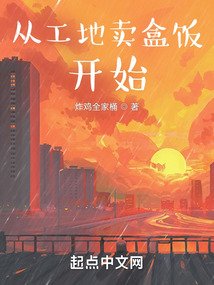 从工地卖盒饭开始无错