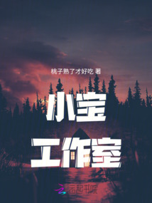 小宝工作室pe