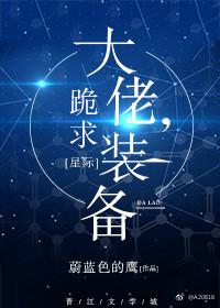 大佬跪求装备有男主吗