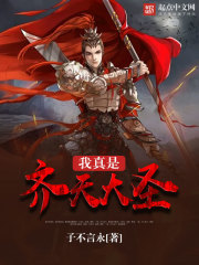 我真是齐天大圣全文阅读