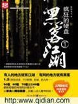 疯狂的硬盘 小说