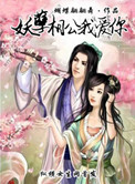 妖孽相公宠不停