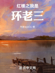红楼之贾环穿越了TXT