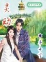 灵动岛设计