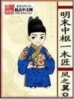 明末之木匠天子小说